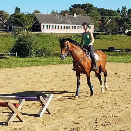 Artemis Farm Bad Blumau