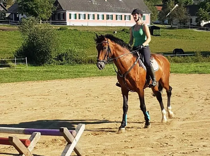 Artemis Farm Bad Blumau