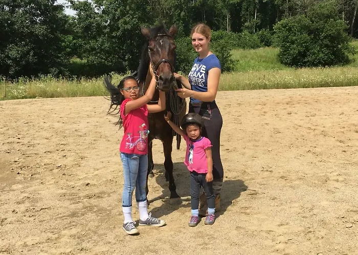 Artemis Farm Apartament *